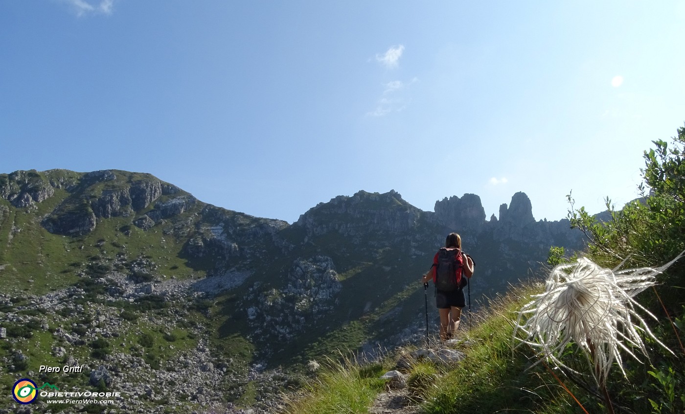 31 Pulsatilla alpina in fruttescenza con vista a sx sulla Corna Grande (versante W).JPG -                                